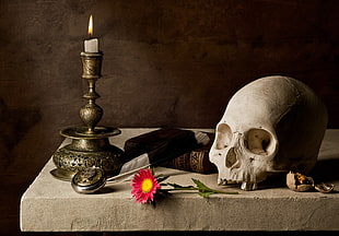 skull and flower on gray desk HD wallpaper